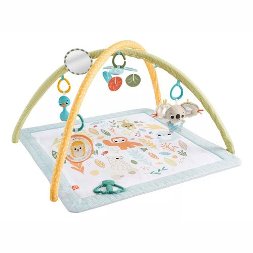 Gimnasio para bebé Fisher Price multicolor hrb15