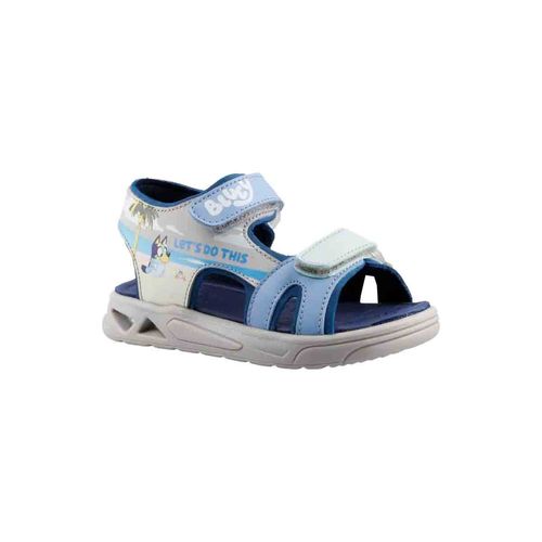 Sandalia casual Bluey gris para niño BL230520ST