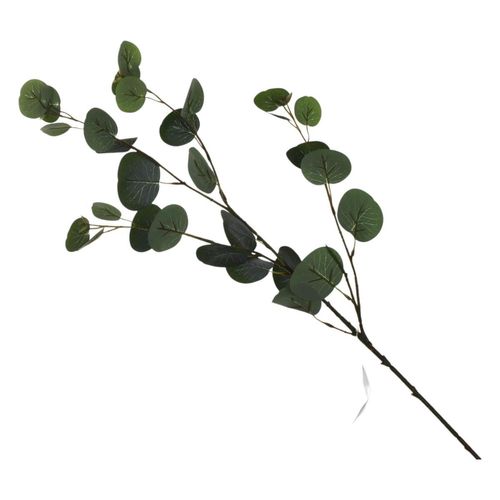 Rama decorativa Concepts Life 592-143526