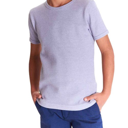 Playera Lyon gris para joven 321378-101
