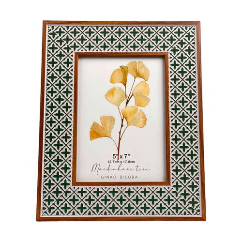 Portaretrato Concepts Life 420-5610029