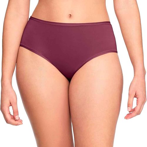 Panty Warners tinto para dama WRW253HP14-SVER