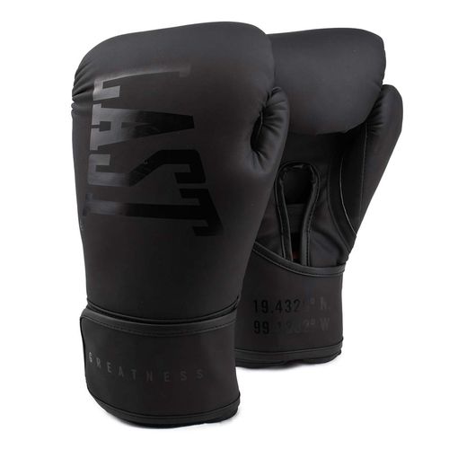 Guantes de box Everlast 14 oz negro xbln14