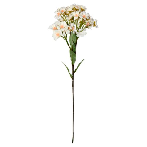 Flores Rosedal Vara De Margarita Crema RS45024