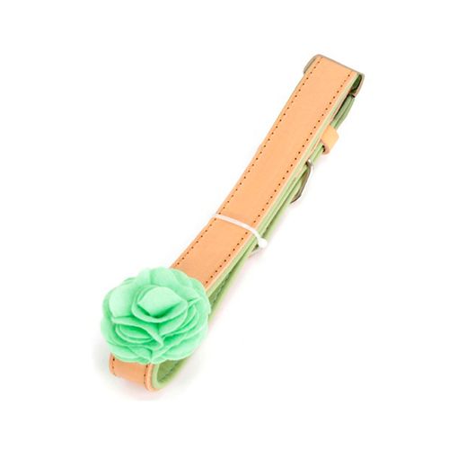 Collar para perro mediano Puppy & Co verde 847-02996