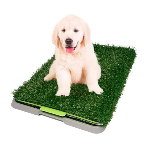 Tapete entrenador para perro Drypet multicolor fl7997